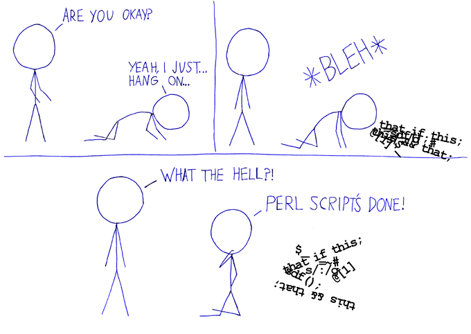 How a Perl script is made